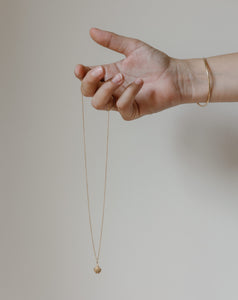 Ginkgo ketting